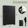 Nicetree 3-Door Shoe Cabinet - Black