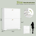 Nicetree 2-Drawer Shoe Cabinet - White