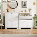 Nicetree 2-Drawer Shoe Cabinet - White