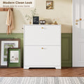 Nicetree 2-Drawer Shoe Cabinet - White