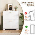 Nicetree 2-Drawer Shoe Cabinet - White